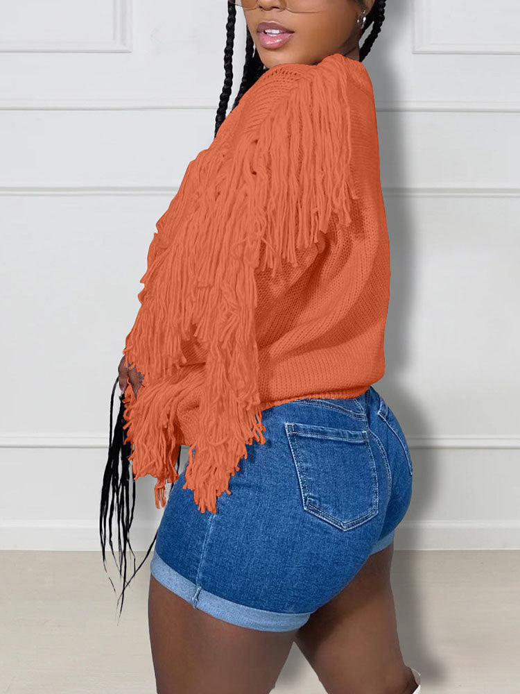 Tassel Fringe Cable Knit Sweater
