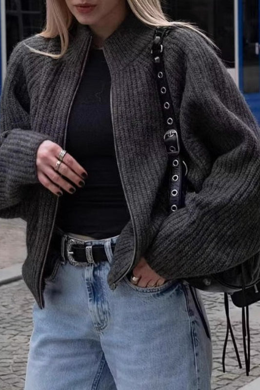 Minimalist Solid Color Double Zipper Stand Collar Sweater