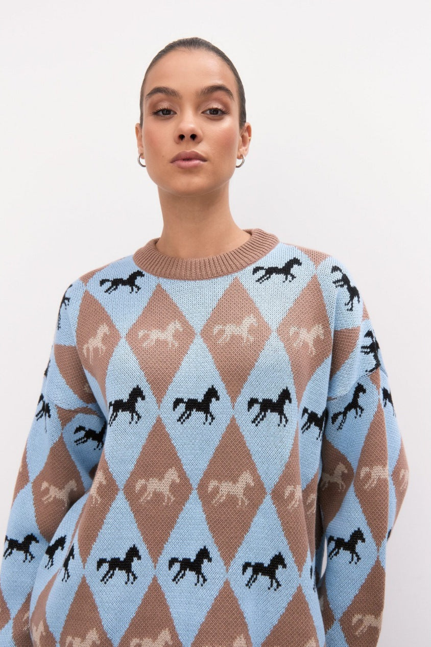 PrincessAce Colorblock Knit Sweater for Effortless Style