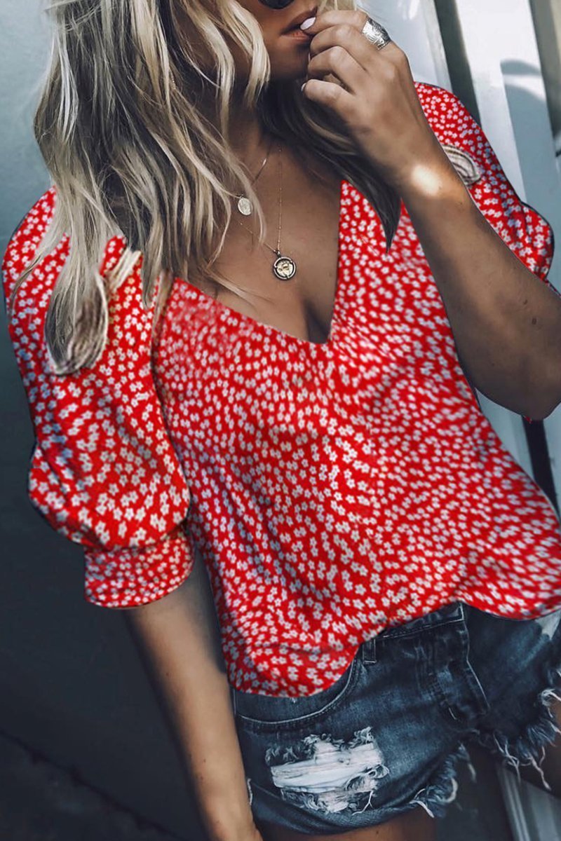 Florcoo V Neck Floral Printed Blouse