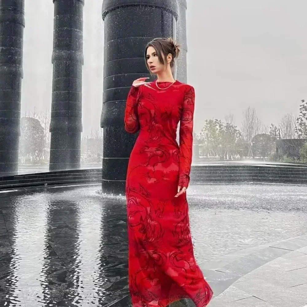 Printed High Neck Long Sleeve Bodycon Maxi Dress