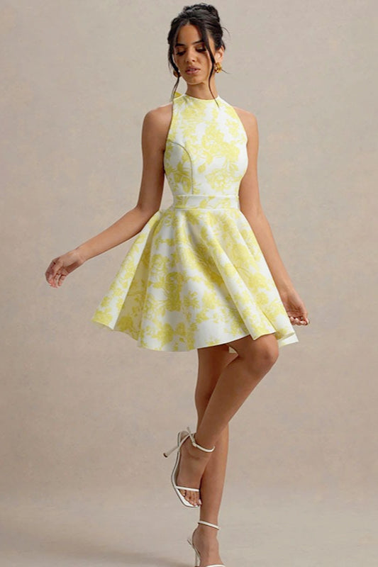 Floral Print High-Neck Sleeveless Fit-and-Flare Mini Dress