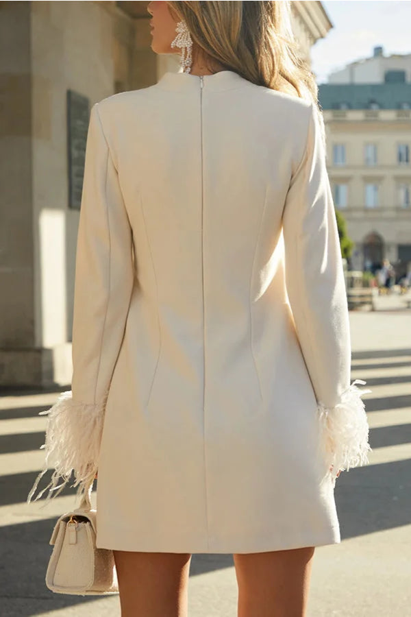 Mock Neck Long Sleeve Feather Trim Shift Mini Dress - View 2