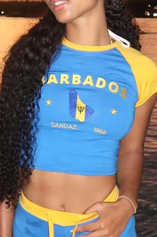 Blue Embroidered Crop Top - Fashionpara