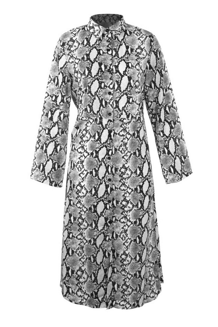 Long Sleeved Leopard Maxi Dress