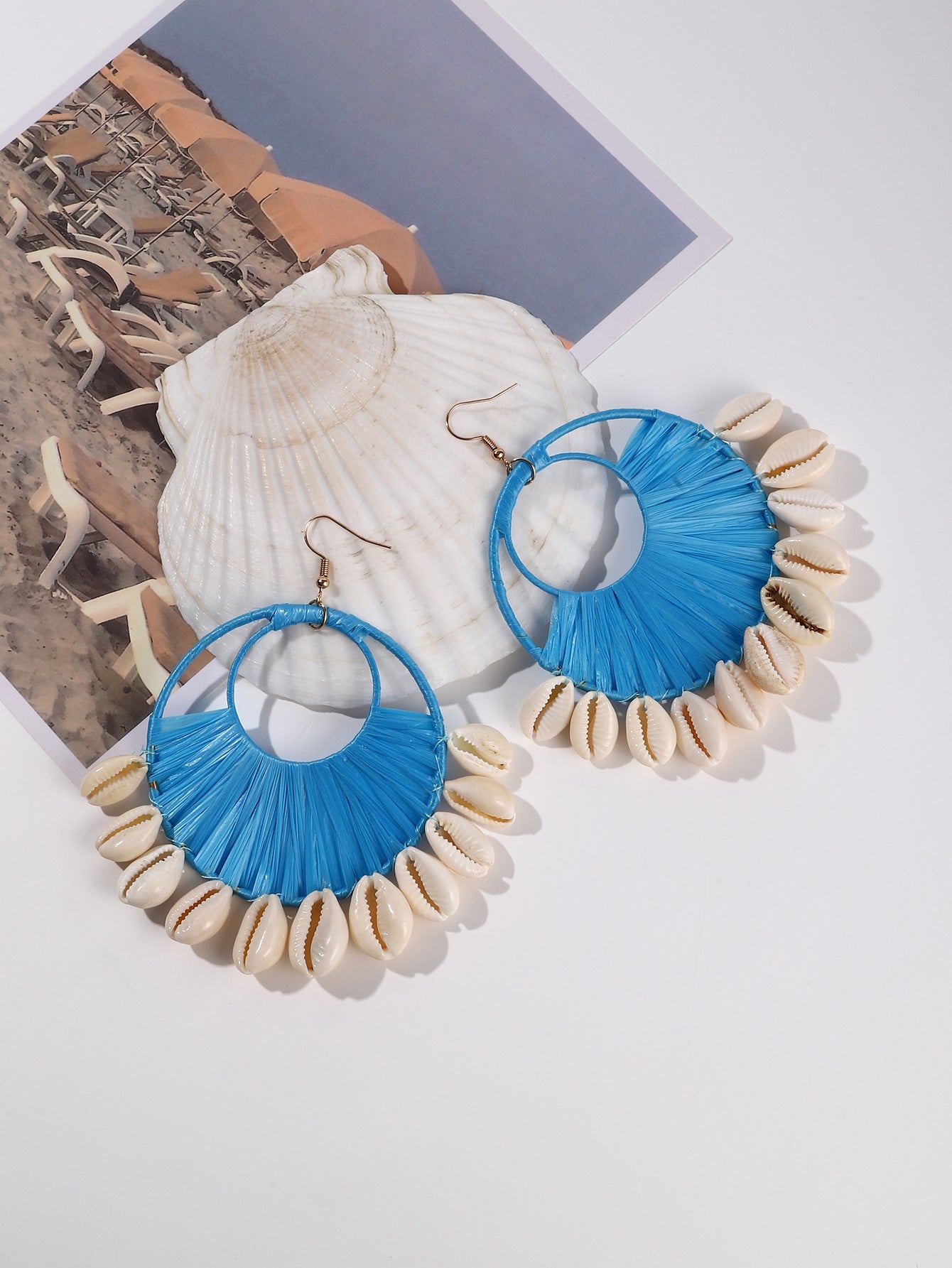 Shell Scallop Earrings