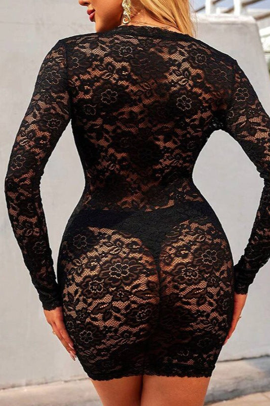 Lace V-Neck Long Sleeve Bodycon Mini Dress