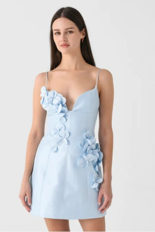3D Floral Appliqué Spaghetti Strap A-Line Mini Dress