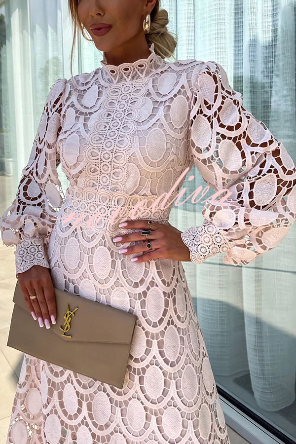 Lace Mock Neck Puff Sleeve Structured Waistband A-Line Midi Dress - View 9
