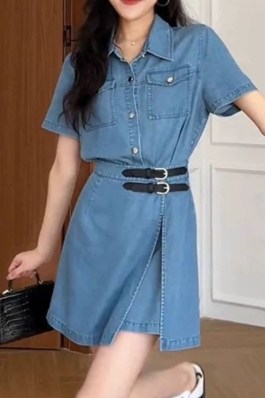 Waist Cinch Denim Dress