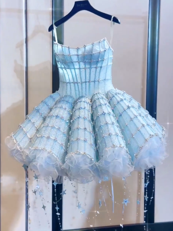 Fantasy Blue Tulle Beaded Short Birthday Dress A Line  Homecoming Dress S357