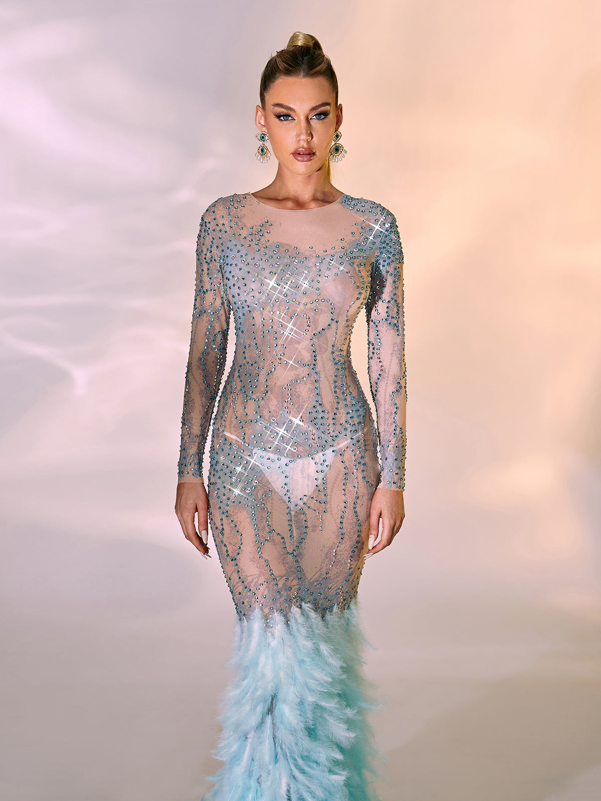 Briar Long Sleeve Rhinestone Feather Maxi Dress