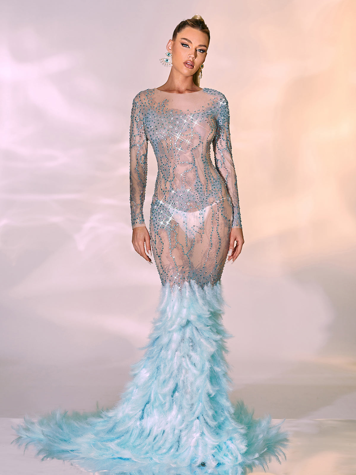 Briar Long Sleeve Rhinestone Feather Maxi Dress