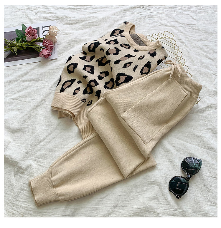 Knit Leopard Pullover Sweater and Elastic Waist Pants Set