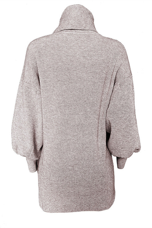 ShoptheCIC Lantern Sleeve Turtleneck Knit Sweater Dress