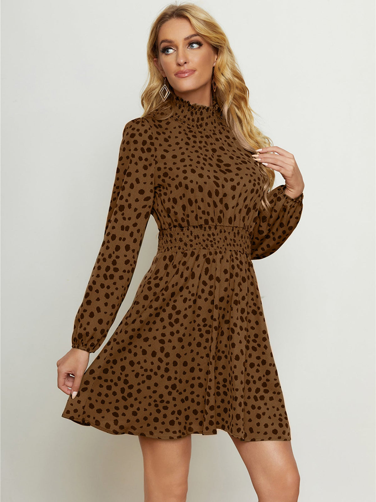 Leopard Print High Neck Long Sleeve A-Line Mini Dress