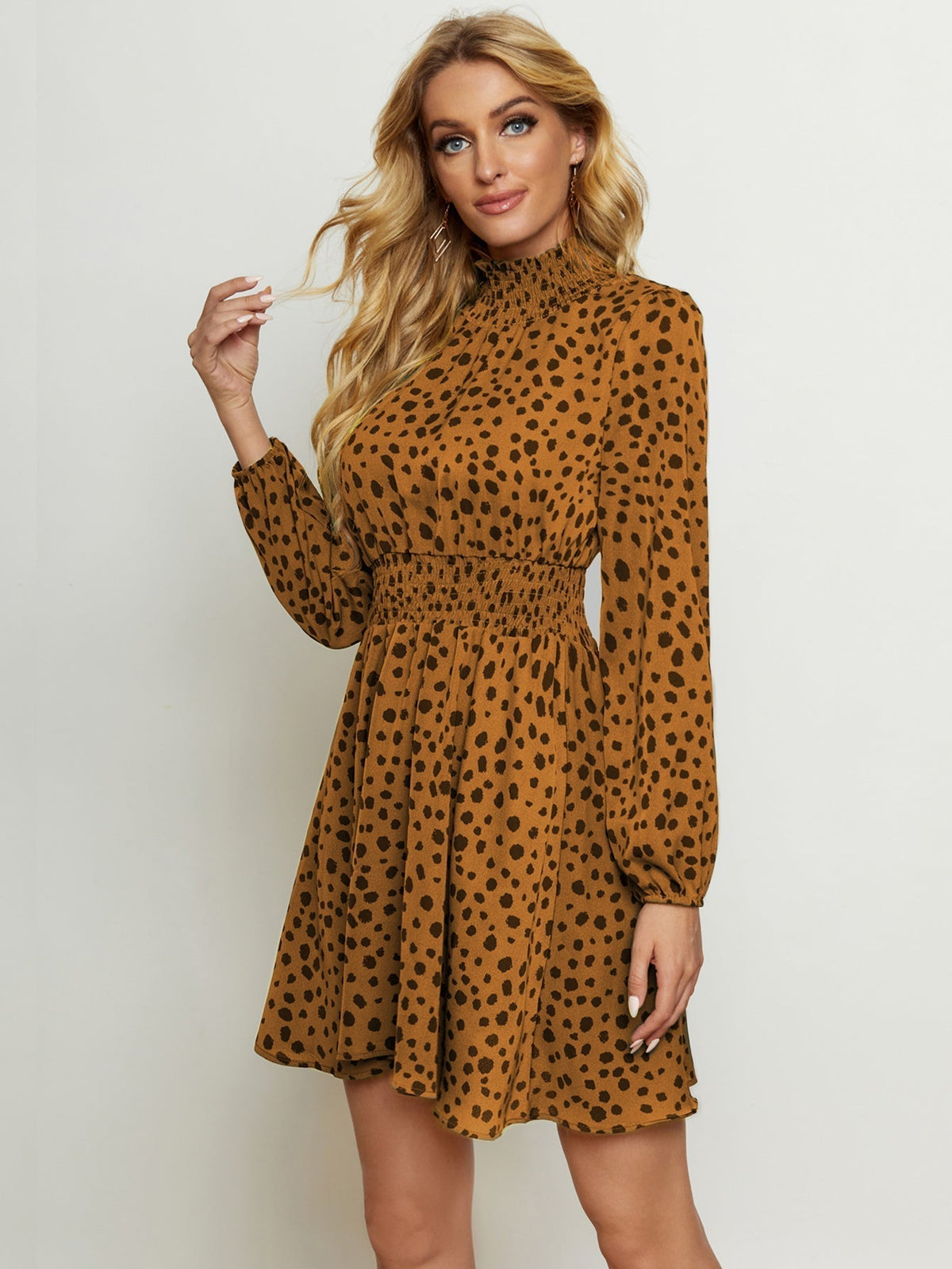 Leopard Print High Neck Long Sleeve A-Line Mini Dress