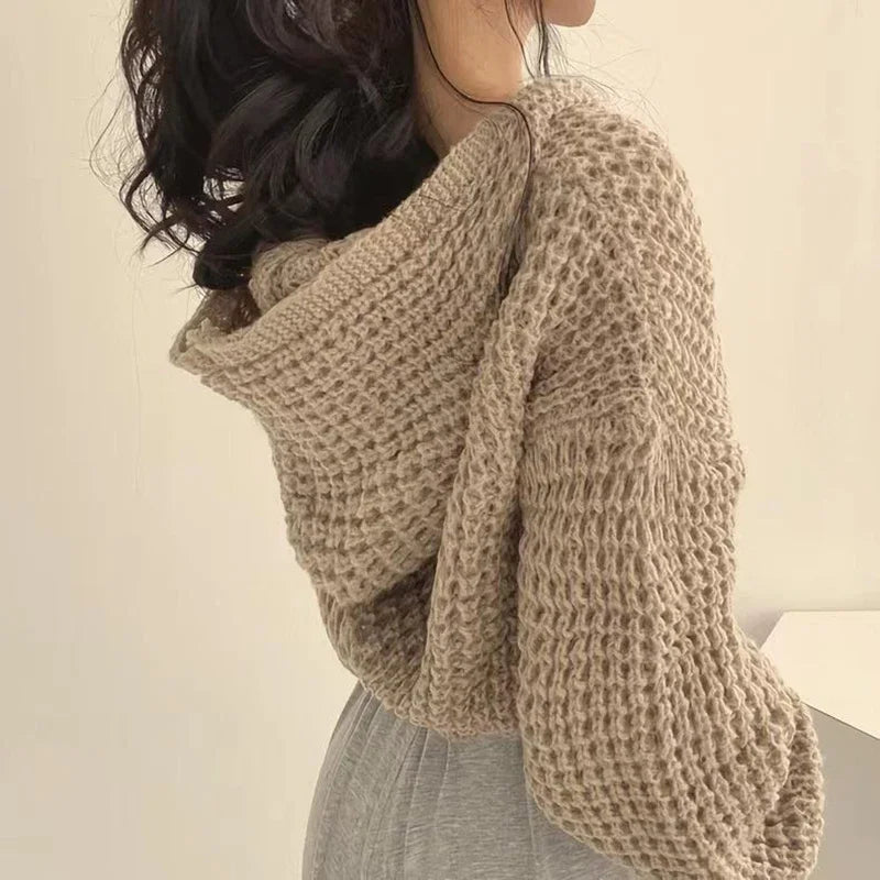 Cropped Hooded Hollow Out Knit Cardigan