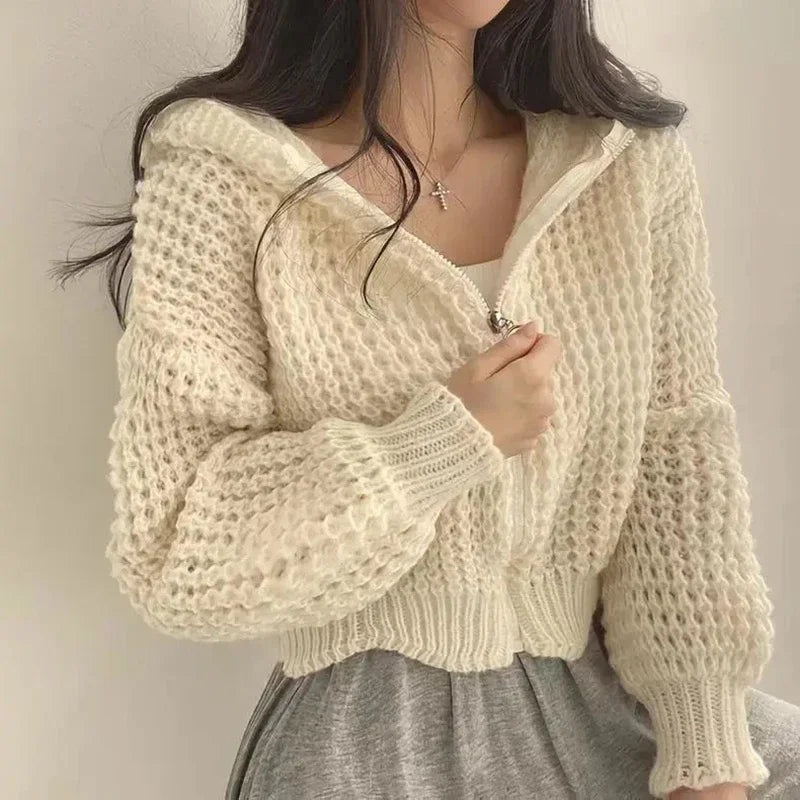 Cropped Hooded Hollow Out Knit Cardigan