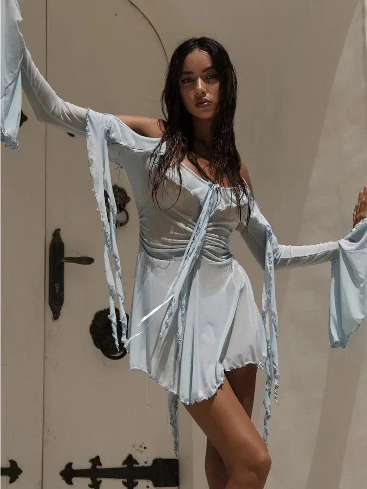 Sexy Mesh Black Long Sleeve Vacation Dress