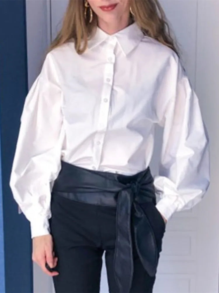 Lantern Sleeve Button Collar Blouse