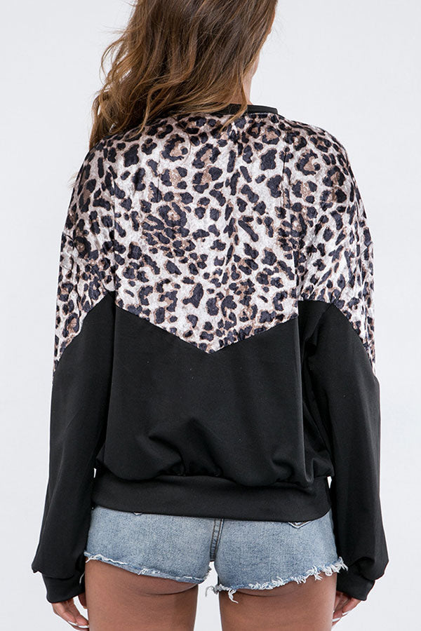 Scoop Leopard Print Panel Sweatshirt