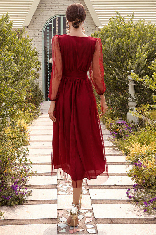 Sheer Mesh V-Neck Long Sleeve A-Line Midi Dress