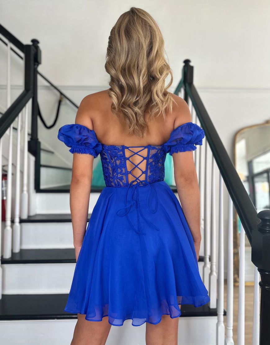 Off The Shoulder Lace And Tulle A-Line Homecoming Dress - Fashionpara