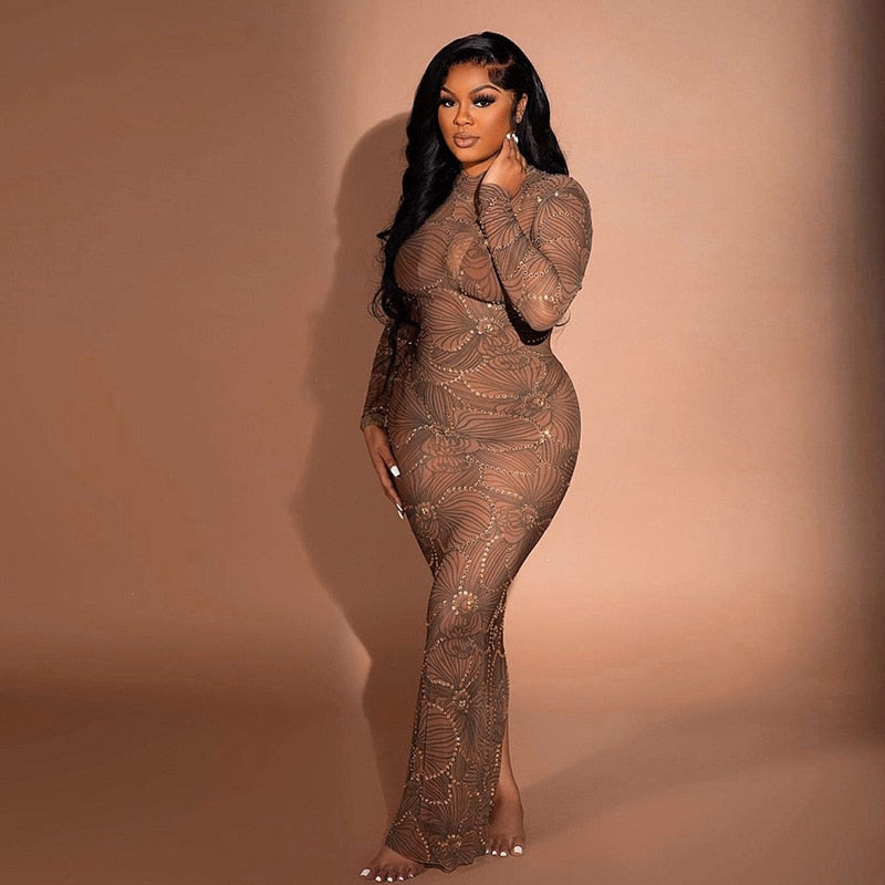 Embellished High Neck Long Sleeve Bodycon Maxi Dress