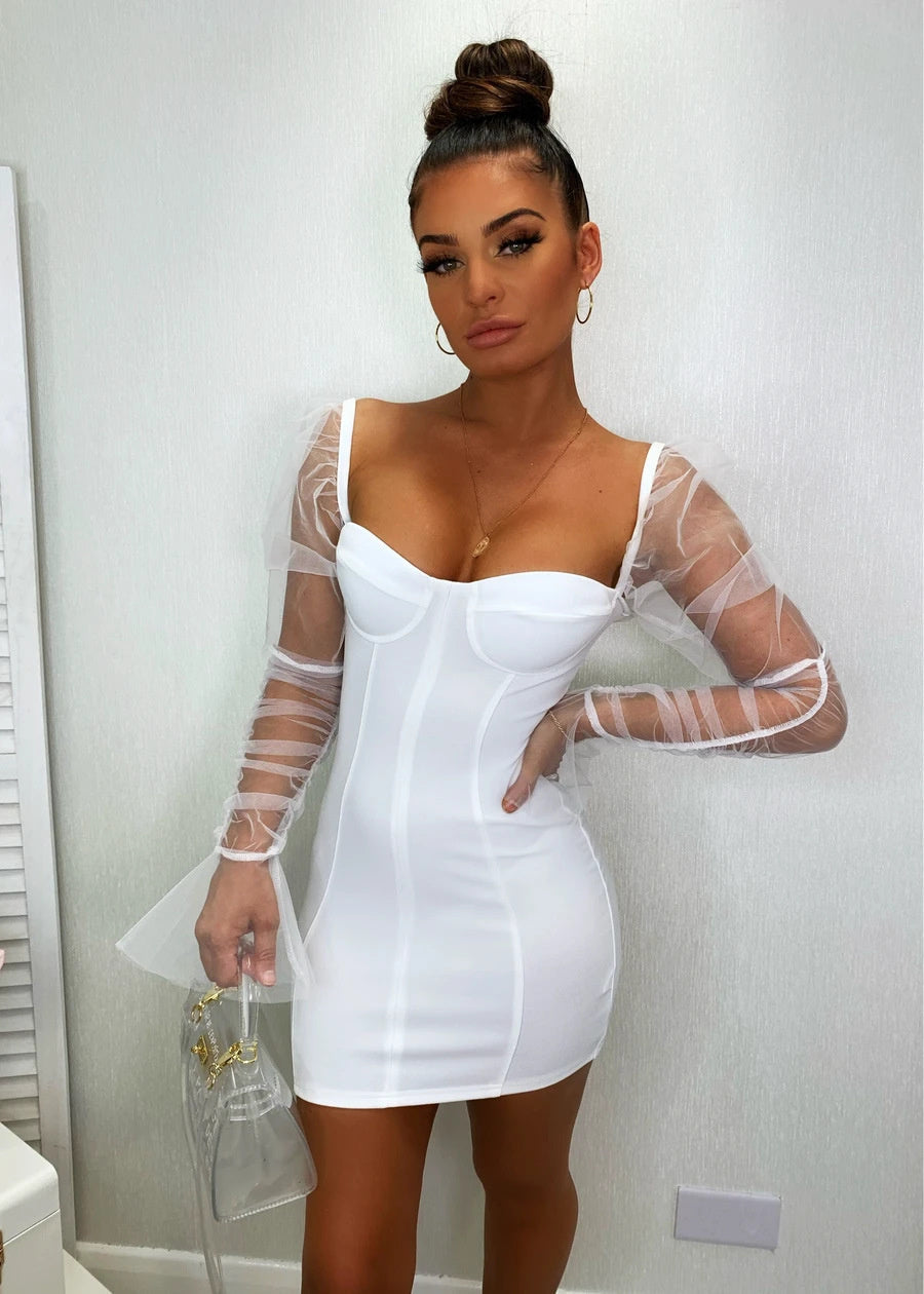 Arletta Sexy Mesh Puff Sleeve Dress