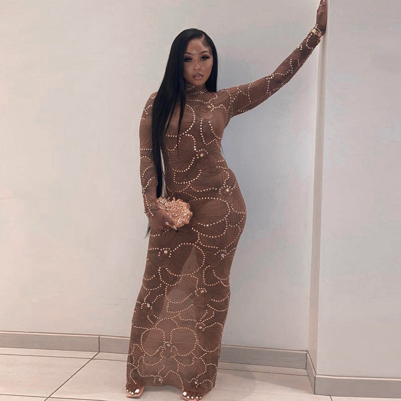 Embellished High Neck Long Sleeve Bodycon Maxi Dress