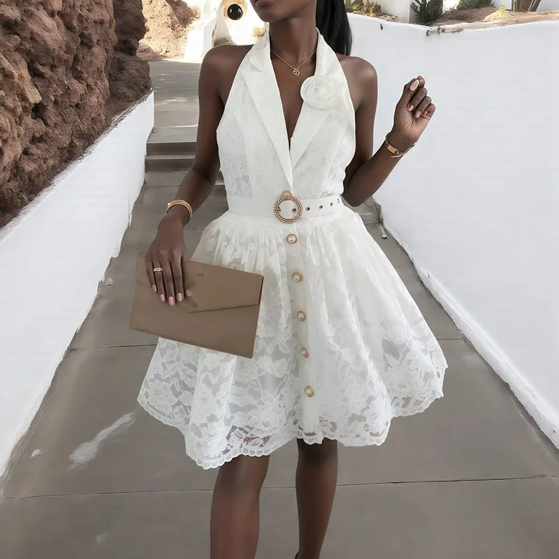 Elegant Lace Embroidery A-Line Mini Dress for Women