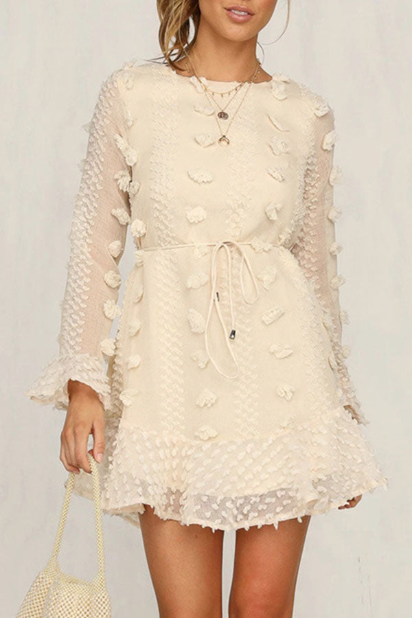 Scoop Applique Ruffled Mini Dress