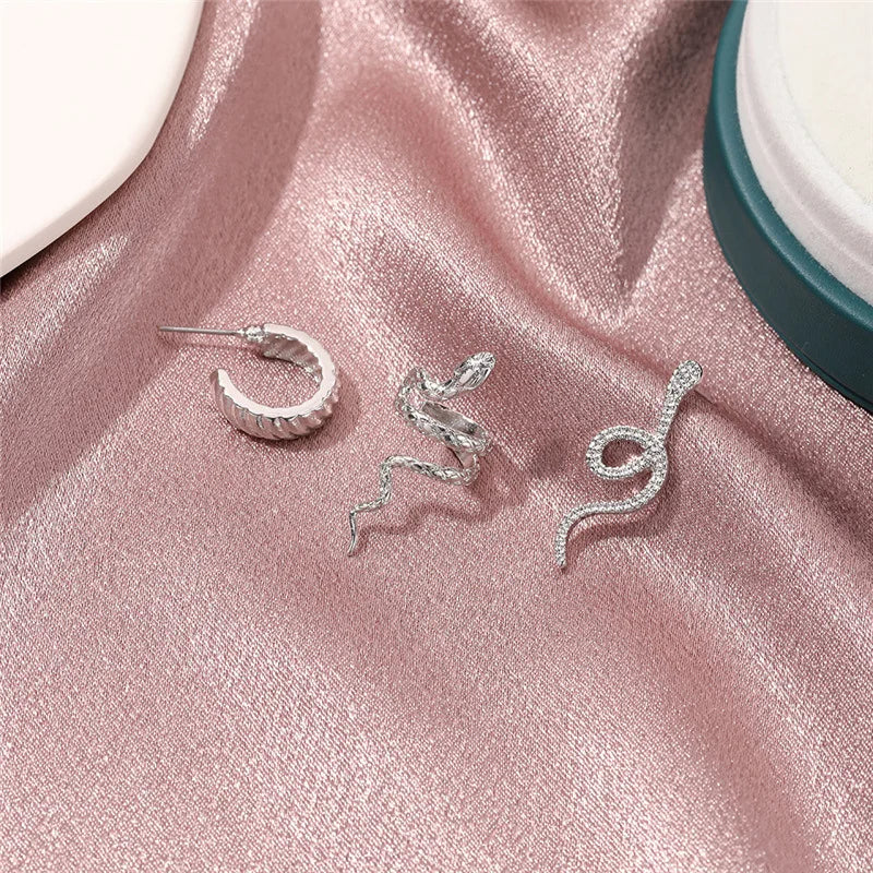 Snake Form Silver Hip Hop Stud Earring