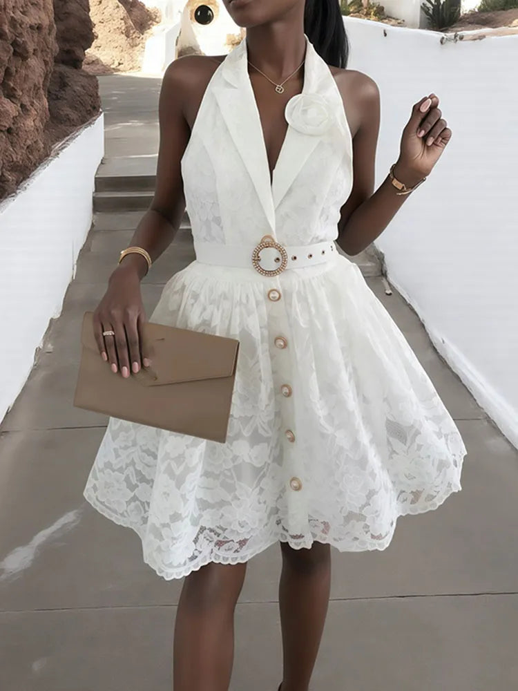 Elegant Lace Embroidery A-Line Mini Dress for Women