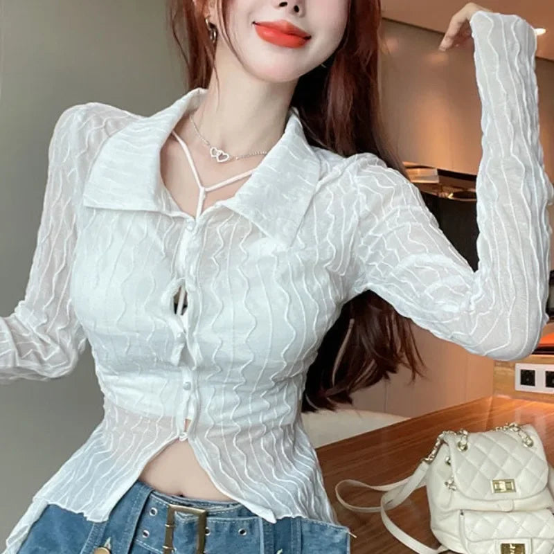 See Through Long Sleeve Turn-down Collar Blouse