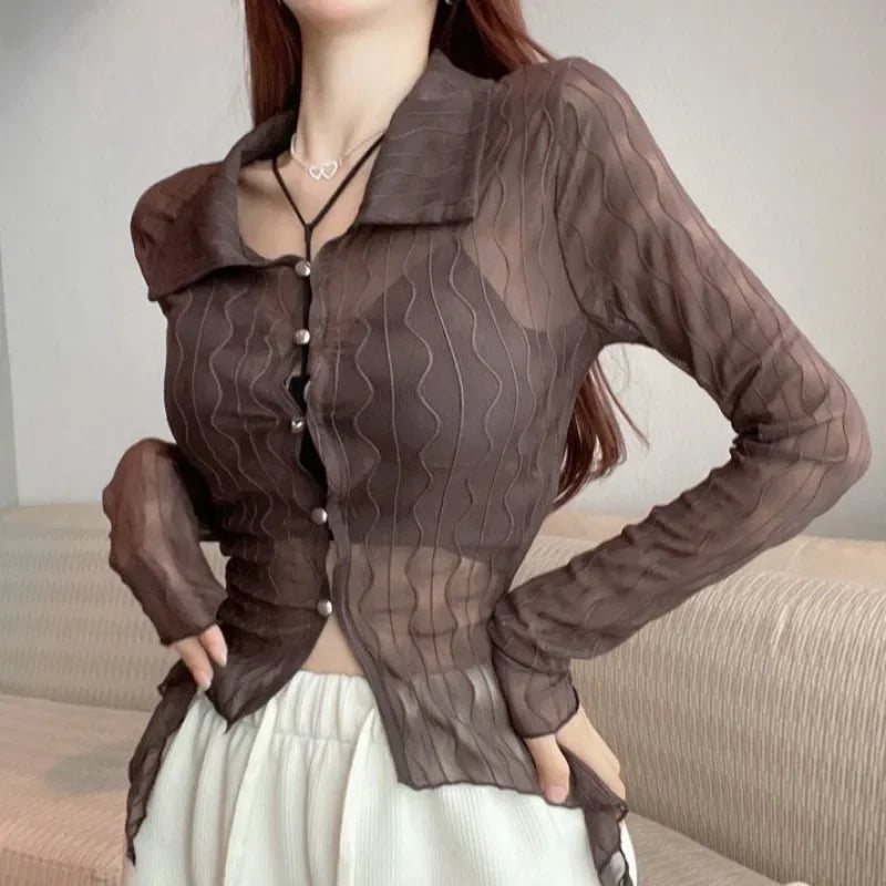See Through Long Sleeve Turn-down Collar Blouse