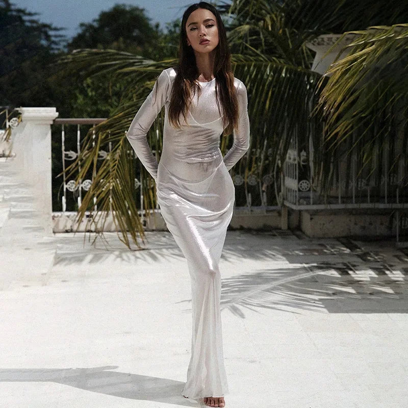 Mesh Long Sleeve Crew Neck Bodycon Maxi Dress - View 5