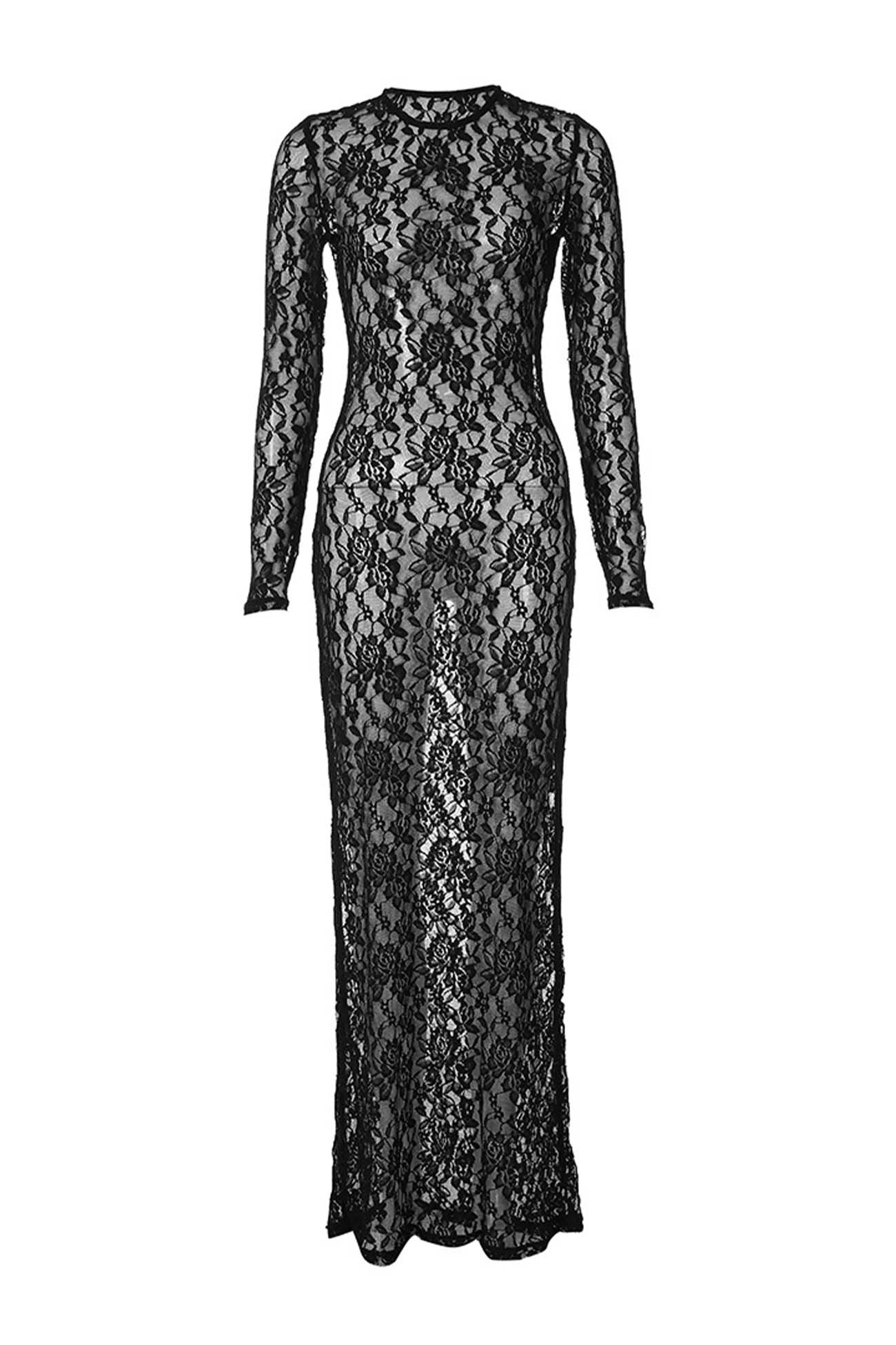Sheer Lace Long Sleeve Maxi Dress
