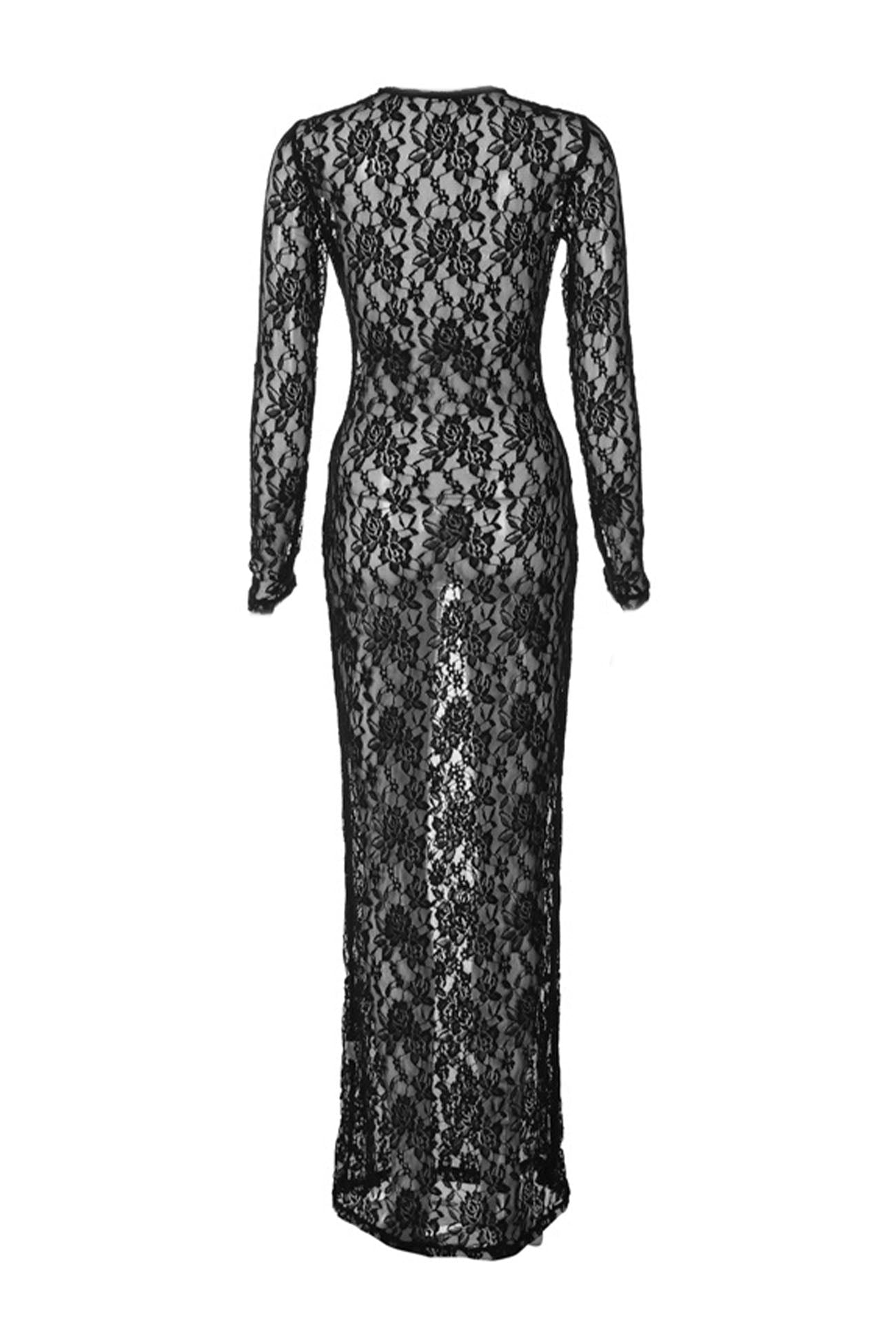 Sheer Lace Long Sleeve Maxi Dress