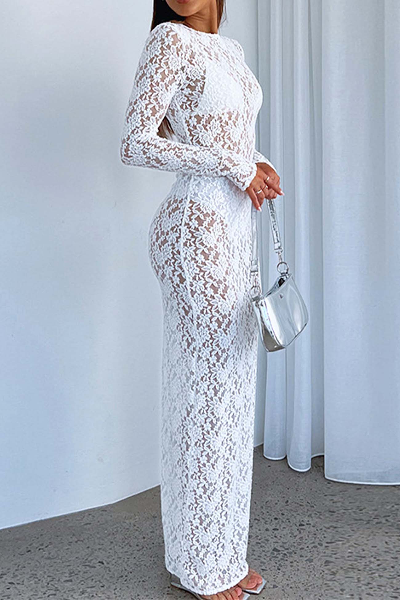 Sheer Lace Long Sleeve Maxi Dress