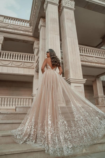 Stylish Sleeveless V-Neck Evening Party Dress Aline Backless Prom Evening Dresses with Lace Appliques