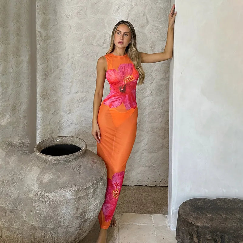 Mesh Perspective Sexy Vacation Dress