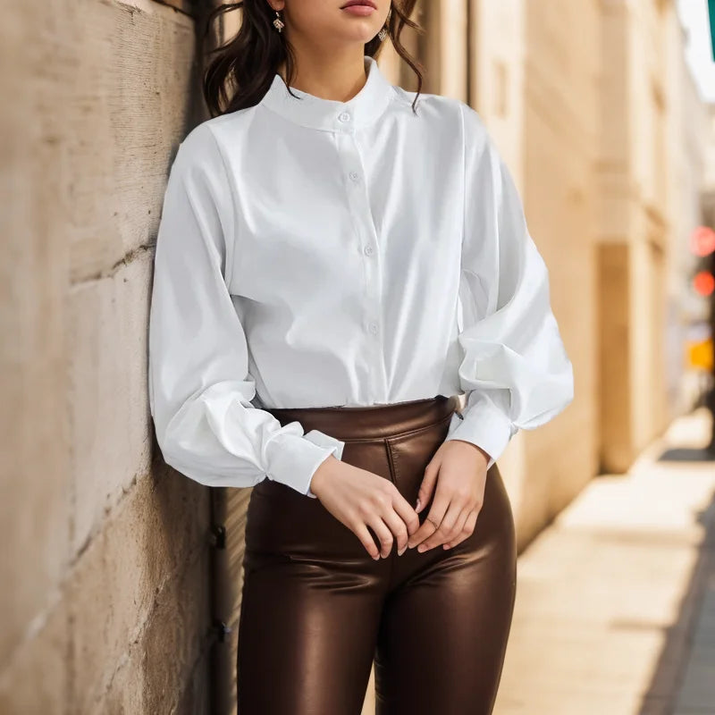 Vintage Lantern Sleeve Loose Stand Collar Blouse