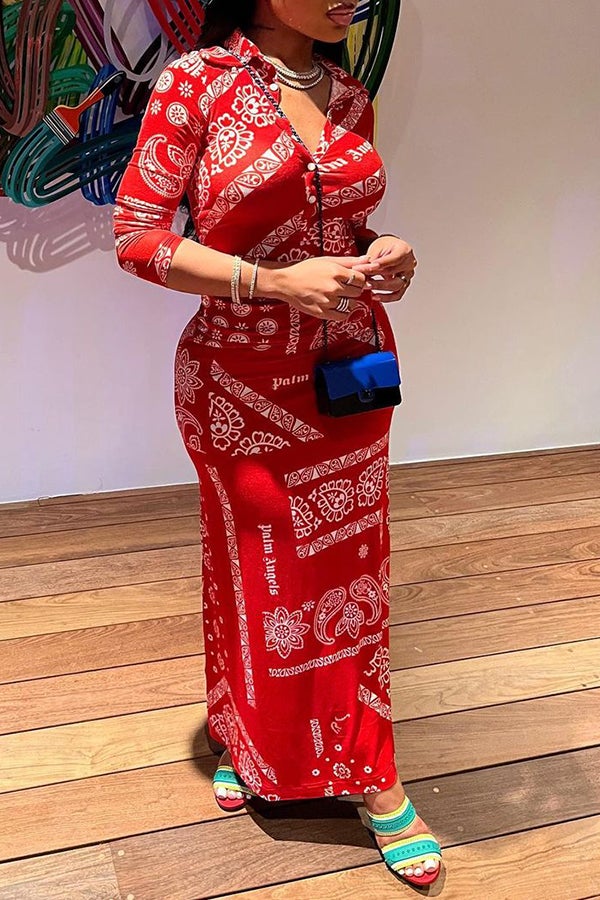 Buttoned Shirt Collar Paisley Print Maxi Dress  Fashionpara