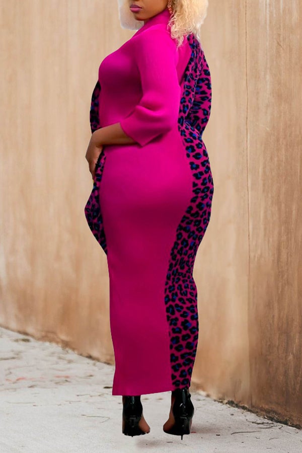 Fashion Leopard Print Stitching Long Sleeve Plus Size Maxi Dress  Fashionpara