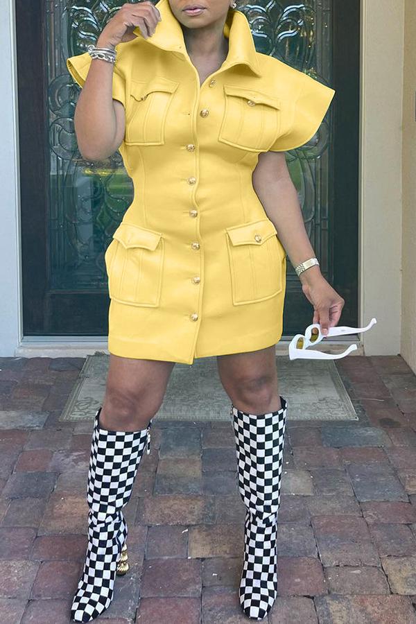 Solid Ruffle Sleeve Button Down Mini Dress  Fashionpara