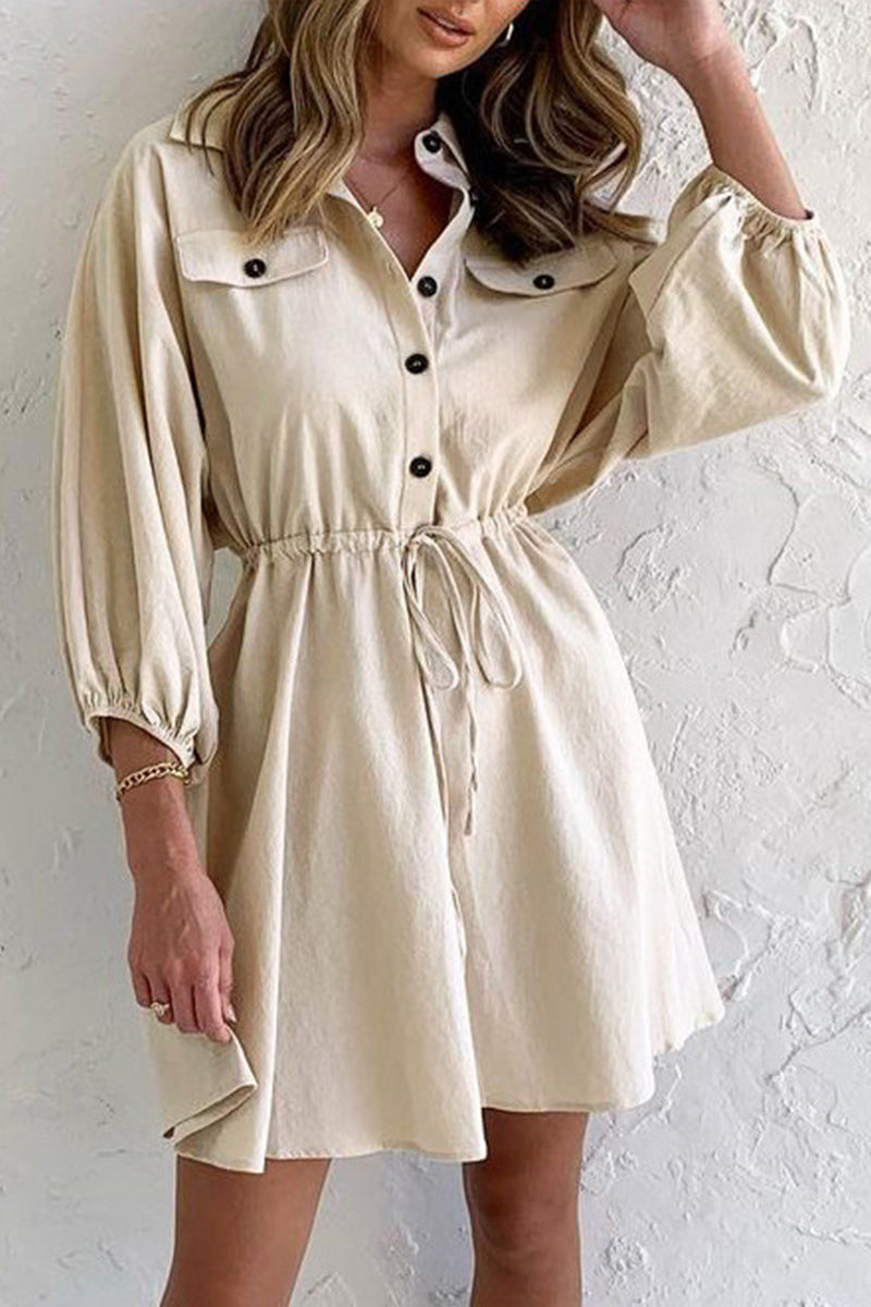 Lapel Drawstring Swing Dress