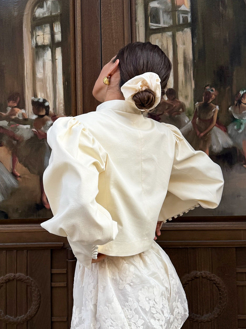 Stand Collar Puff Sleeve Blouse