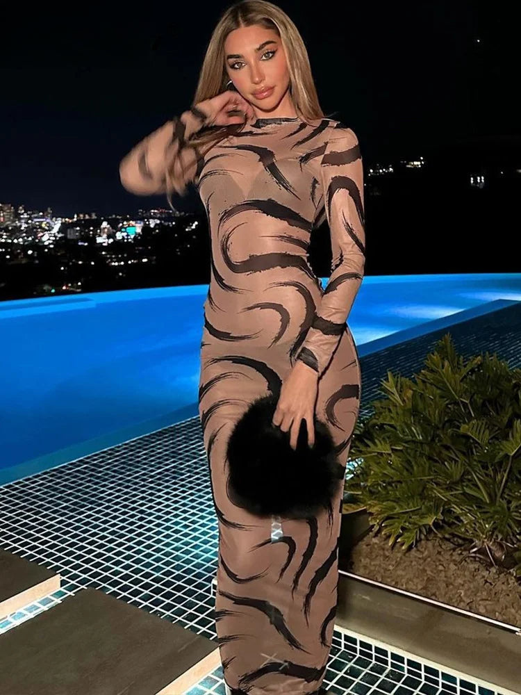 Mesh Long Sleeve See Through Midi Dress - View 2